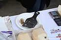 VBS_5990 - 10.ma Fiera Nazionale del Tartufo e Fiera dei Santi